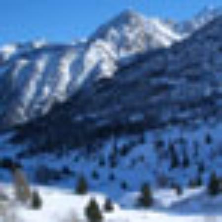 Maa Durgma Restaurant